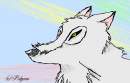 The white wolf
