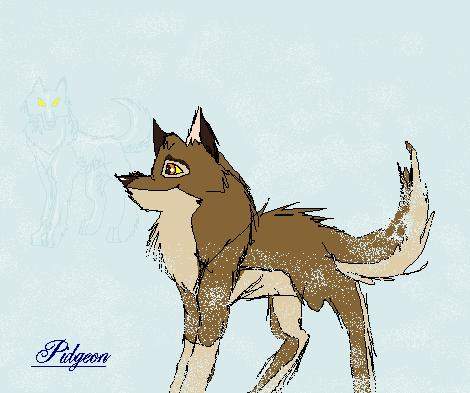 balto and aniu