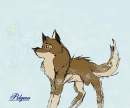 balto and aniu