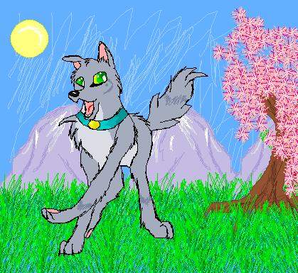 welcome the spring