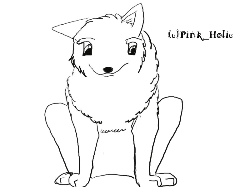 pomeranian lineart