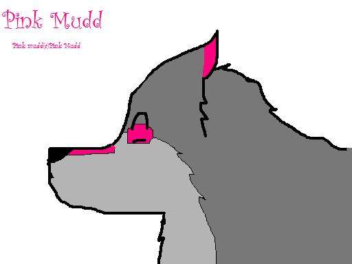 Pink Mudd