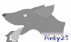 pinky23