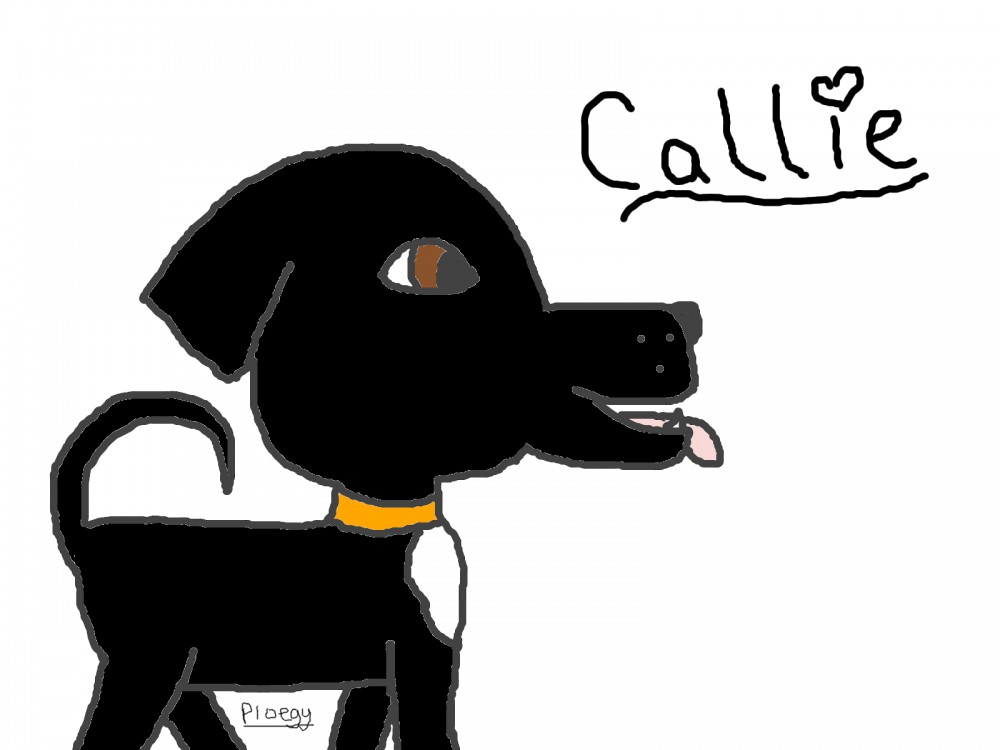 Callie :]