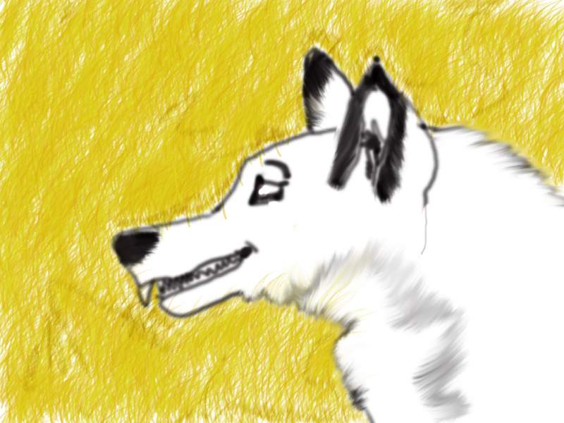 the unknown wolf of mystery