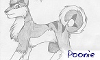poonie