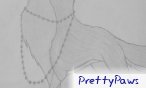 PrettyPaws