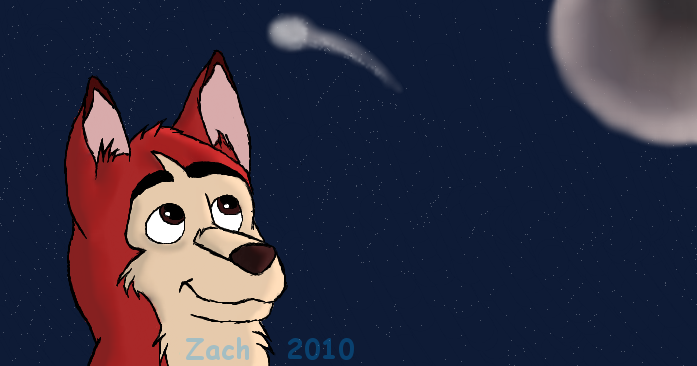 Kodi and the night sky :3