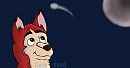 Kodi and the night sky :3