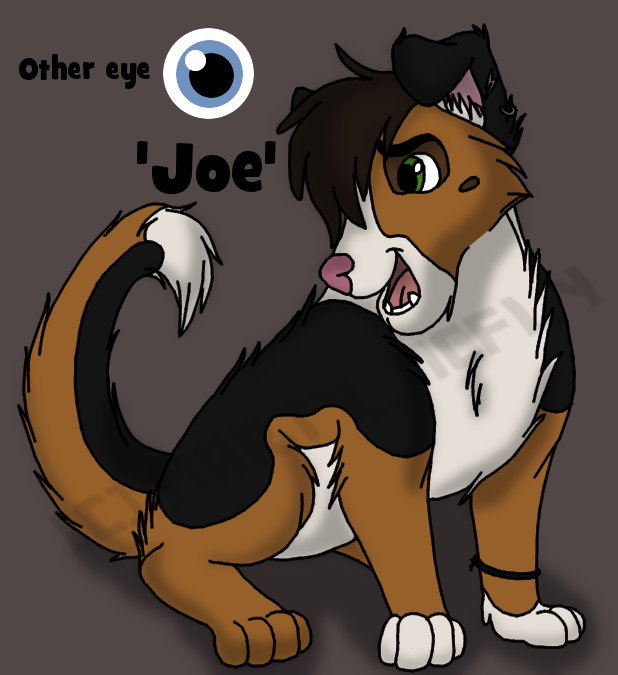 Joe Refference Picture.