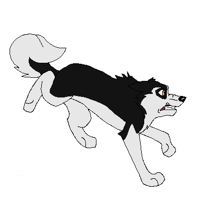 Puppy Steele