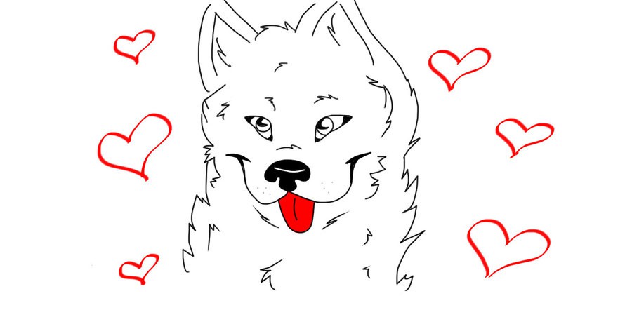 White Wolf
