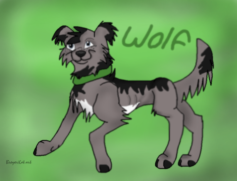 My Part of the Trade with WolfPrince 