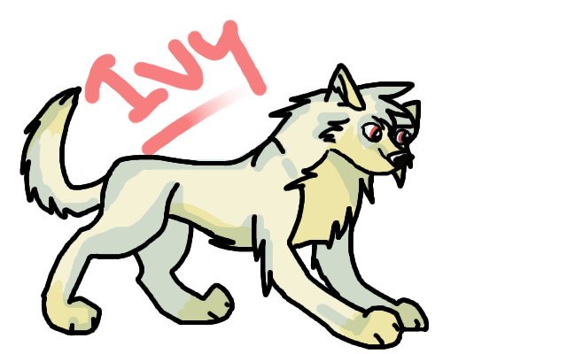 New Character