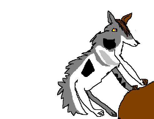 its a wolf