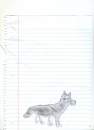 wolf