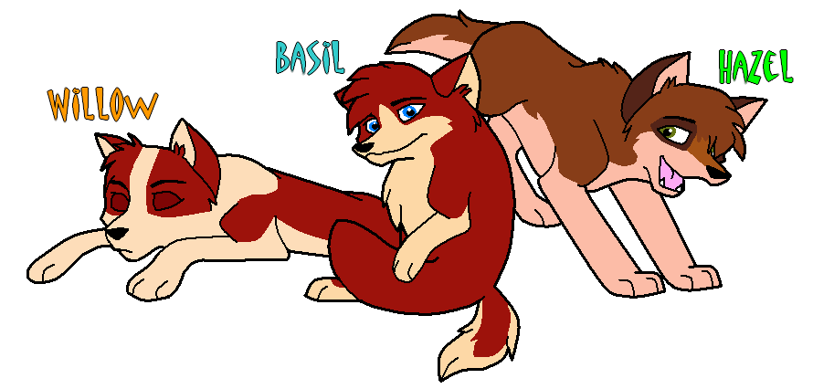 Balto and Jenna's second litter