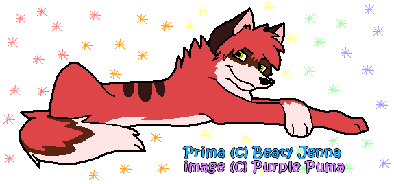 Prima for Beauty Jenna