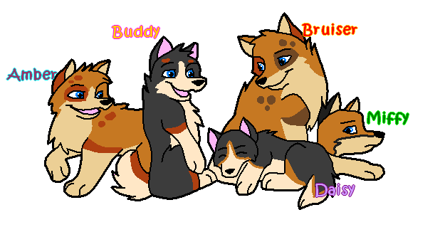 Jack and Maisy's pups ^^