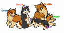 Jack and Maisy's pups ^^