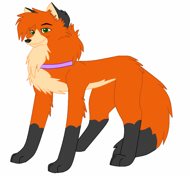 Ember