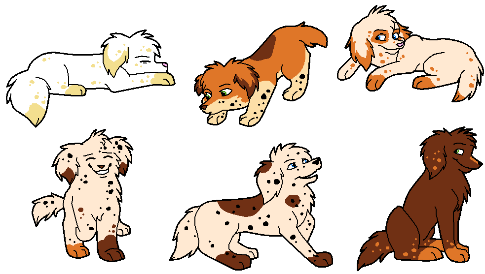 Old characters Missy and Connor's Pups