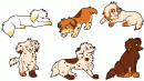 Old characters Missy and Connor's Pups
