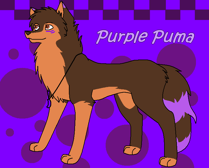 New Purple Puma...