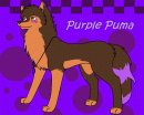 New Purple Puma...