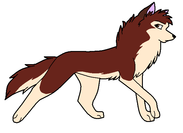 Dingo