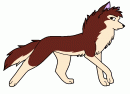 Dingo