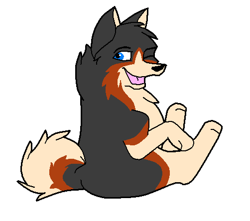 Puppy Jack