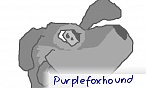 purplefoxhound