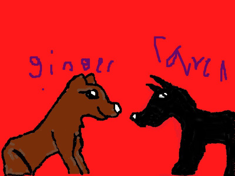 raven and ginger (purple)
