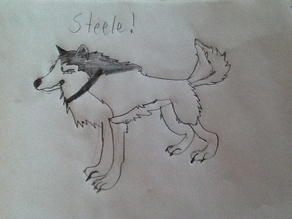 Steele