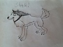 Steele