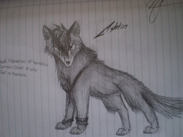 Ashtin wolf