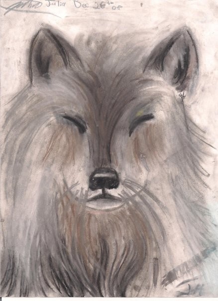 my frist charcole drawing 