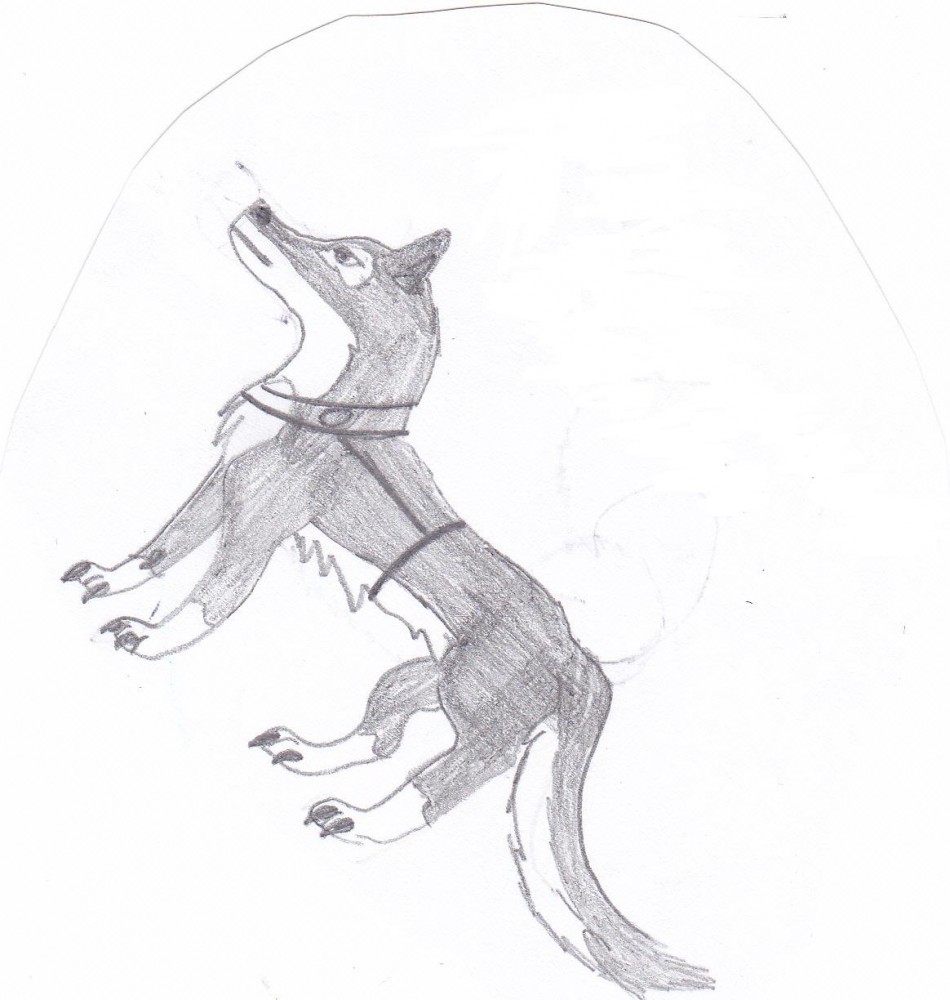 Balto