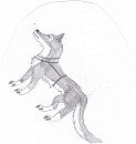 Balto
