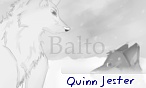 Quinn Jester