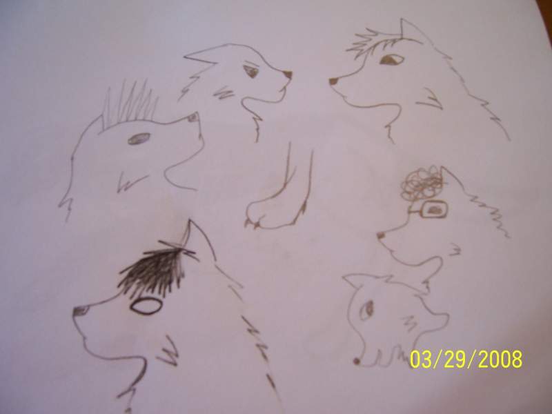 doodles