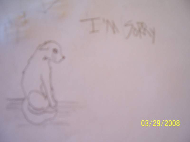 I'm sorry for dissapointing ypu