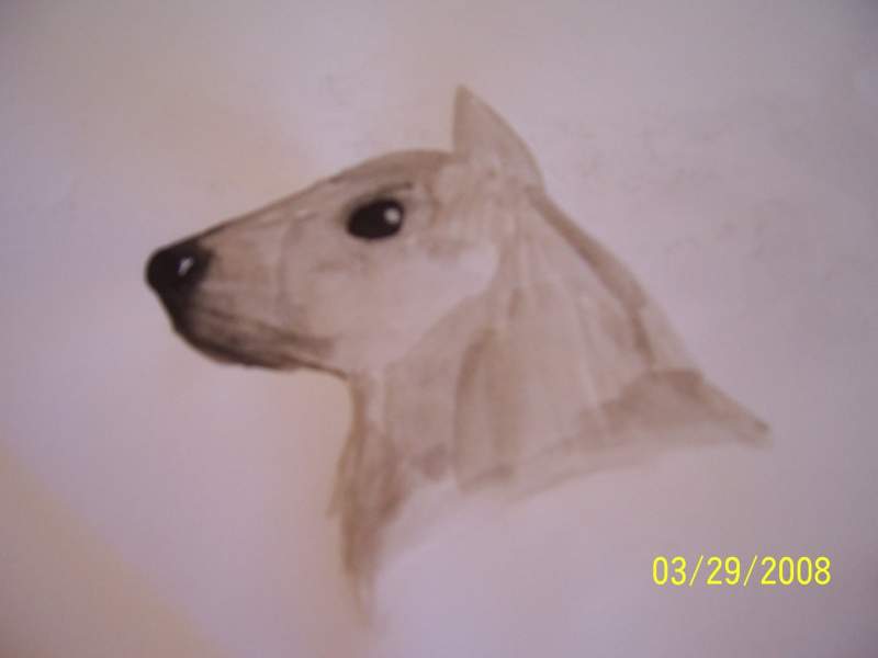 dog with watercolours.