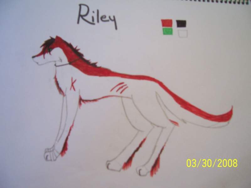 riley