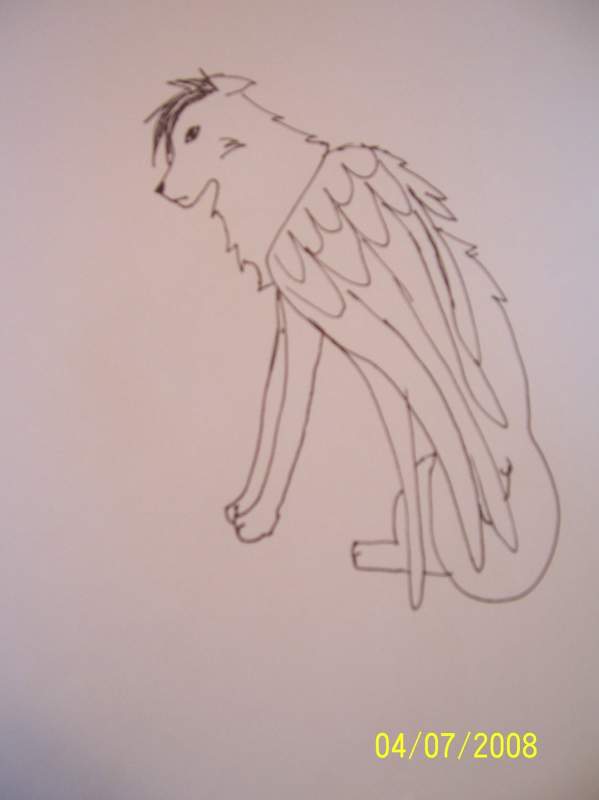 bad drawing