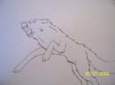 Mad Balto
