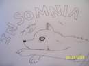 INSOMNIA