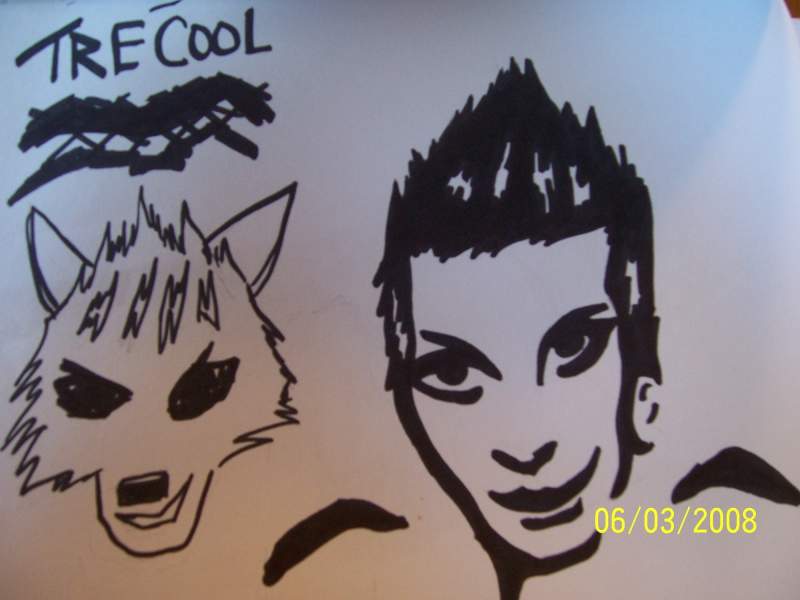 Tre Cool 