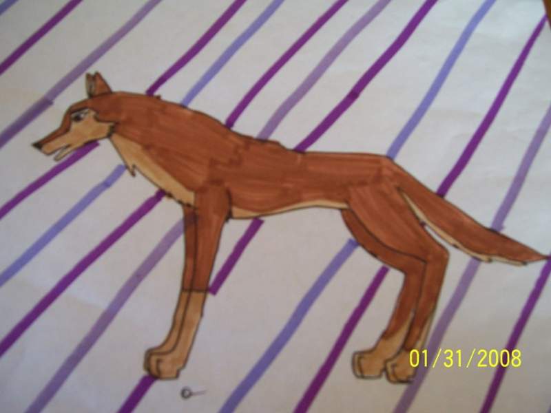 Aleu
